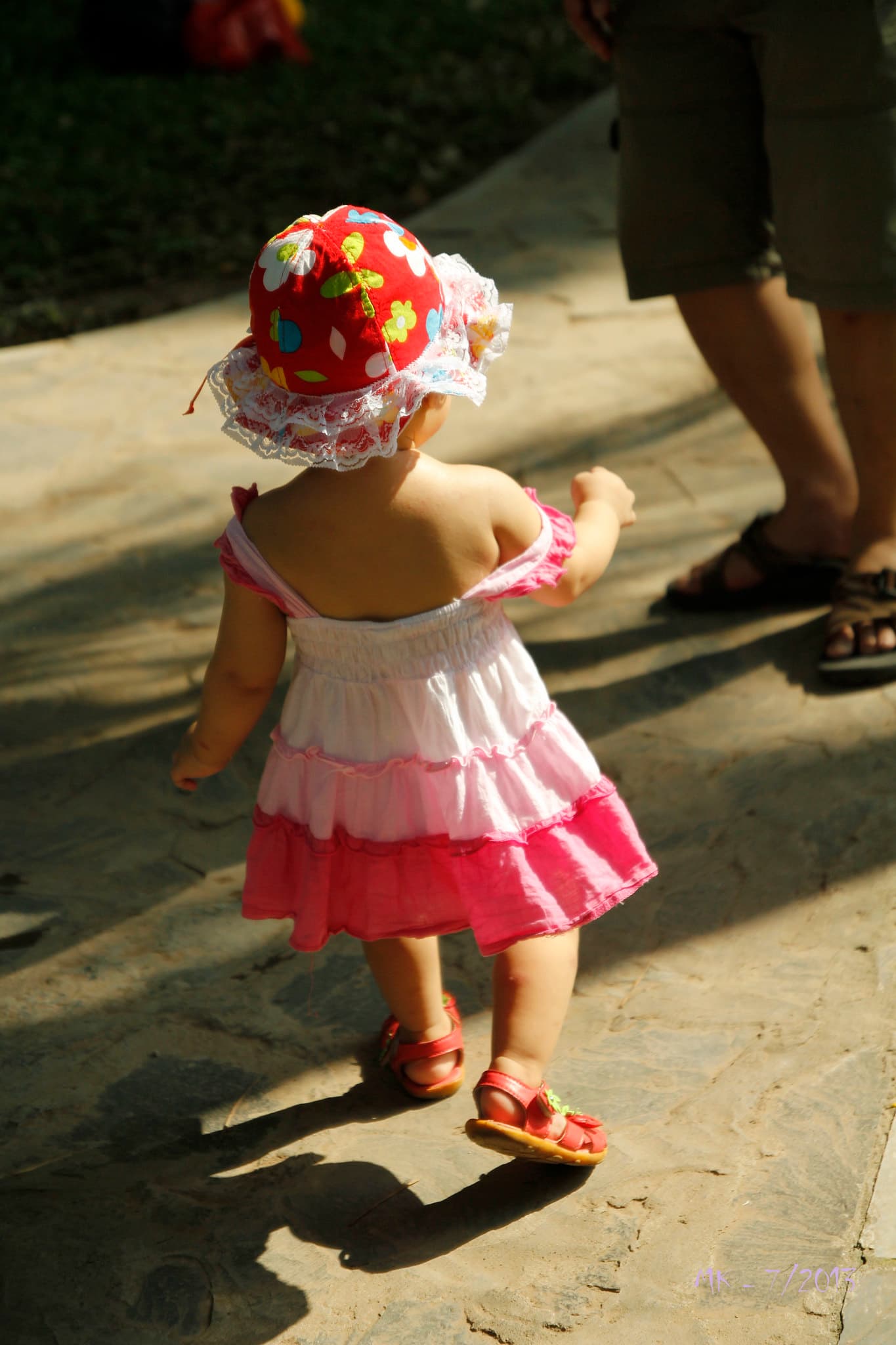 Picture of the author